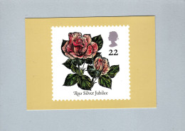 Fleurs : Rosa Silver Jubilee - Bloemen