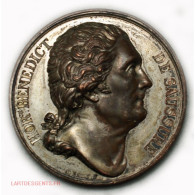 Médaille B. De Saussure, Personnage Illustre 1823 Par Bovy - Royal / Of Nobility