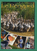 Le Périgord ( Oies, Gavage, Foie Gras, Vignes, Raisins, Apéritif Bouteille De Quinqui  Noix ) - Other & Unclassified