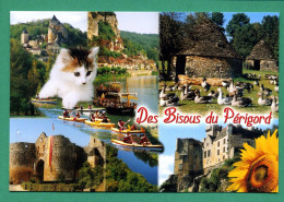 24 Périgord Beynac, Castelnaud, La Roque Gageac, Domme, Gabares Et Canoës Bories Et Les Oies , Tournesol, Chat - Autres & Non Classés