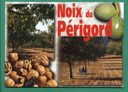 24 Noix Du Périgord (  Noix, Noyer, Tracteur, Multivues ) - Altri & Non Classificati