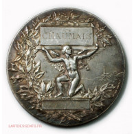 Médaille Bronze Argenté Par Henri DUBOIS 1897-1898 - Monarchia / Nobiltà