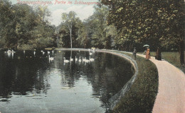 7710 DONAUESCHINGEN, Schlossgarten, 1906 - Donaueschingen