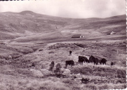 Cpm Cpsm Le Plomb Du Cantal - Sonstige & Ohne Zuordnung