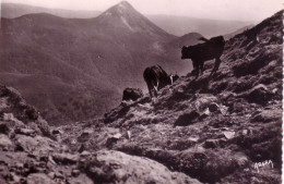 Cpm Cpsm Le  Puy Griou - Other & Unclassified