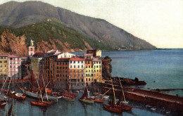 CAMOGLI, Genova - Panorama E Porto - NV - #020 - Altri & Non Classificati