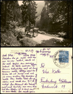 Ansichtskarte Schwarzburg Postkutsche Im Schwarztal 1956/1957 - Other & Unclassified