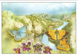 Picture Postcard Czech Republic - Butterfly 2013 - Mariposas