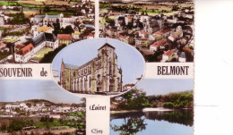 Cpm Cpsm   Belmont Multivues - Belmont De La Loire