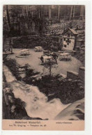 39000609 - Gruss Aus Eberswalde. Abgebildet Ist Das Restaurant Wasserfall Mit Dem Muecke-Denkmal. Postalisch Befoerdert - Eberswalde