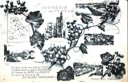 Souvenir De L'Yonne Multi Vue, Raisin Et Carte - Sonstige & Ohne Zuordnung