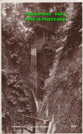 R385061 Waterfall Shanklin Chine. Pike. Post Card. 1925 - World