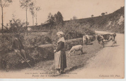 CMCB 341, Paysans Dans La Campagne (Finistère) - Bretagne