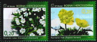 Bosnia Croatia 2006 Flora – Endemic Plants, Cerastium Dinaricum, Papaver Kerneri, Set In Pair MNH - Bosnia And Herzegovina