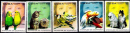 222  Cats - Birds - Fishes - Dogs  - 2004 - MNH - Cb -  1,95 . - Hauskatzen