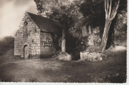 LOCUON, Chapelle Et Grotte ND De Lourdes (commune De PLOERDUT) - Jack - Otros & Sin Clasificación