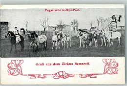 13235309 - Zirkus Semsrott Aus Ungarn AK - Autres & Non Classés