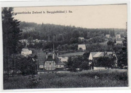 39030109 - Zwiesel Bei Bad Berggiesshuebel Mit Teilansicht Ungelaufen  Gute Erhaltung. - Autres & Non Classés