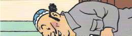 Tintin Marque Page  "drôles De Plumes" 2003 De Oliveira - Objets Publicitaires