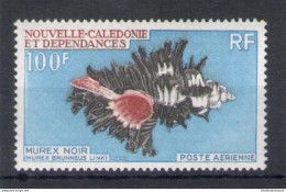 1969 Nouvelle Caledonie - Yvert Posta Aerea N. 105 - Conchiglie - MNH** - Vissen