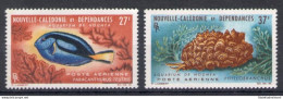 1965 Nouvelle Caledonie - Yvert Posta Aerea N. 77/78 - Pesci - MNH** - Fische
