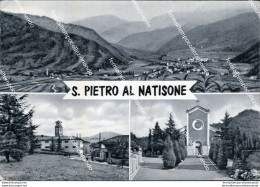 Au318 Cartolina S.pietro Al Natisone Provincia Di Udine - Udine