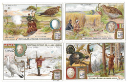 S 703, Liebig 6 Cards, Gallinacés (ref B17) - Liebig