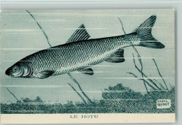 13011109 - Fische Le Hotu - Sign Raoul Guinot - Fish & Shellfish