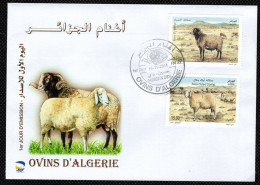 FDC/Année 2011-N°1606/1607 : Ovins D' Algérie  (Oblitération H.Dey) - Algeria (1962-...)