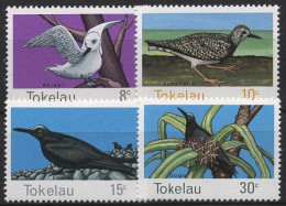 Tokelau 1977 Vögel Feenseeschwalbe Noddiseeschwalbe 50/53 Postfrisch - Tokelau