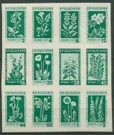 Bulgarien 1953 Bergblumen Heilpflanzen Herzstück Block 4 Postfrisch (C94858) - Hojas Bloque