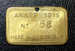 WWI Jeton De Taxe Sur Les Chiens "Ville De Salon-de-Provence 1915" Dog License Tax Tag WW1 - Monedas / De Necesidad