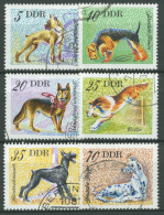DDR 1976 Tiere Hunde Hunderassen 2155/60 Gestempelt - Usados