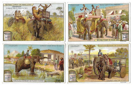 S 701, Liebig 6 Cards, L'éléphant (ref B17) - Liebig