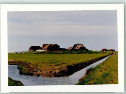 10070909 - Hooge, Hallig - Andere & Zonder Classificatie