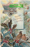 R385346 Hearty Christmas Greetings. Stewart And Woolf. Series 466. 1905 - World