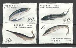 CHINA 1994 Michel 2521 - 2524 MNH Fische Fishes - Pesci