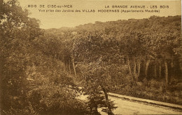 CPA (Somme) BOIS DE CISE Sur MER - La Grande Avenue, Les Bois - Bois-de-Cise