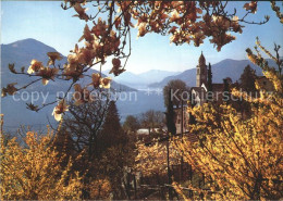 12370427 Ronco TI Kirche Berge   - Other & Unclassified