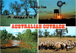 15-5-2024 (5 Z 11) Australia - Outback (cow & Sheep  Farming Etc) - Viehzucht