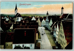 13958109 - Gundelfingen A D Donau - Andere & Zonder Classificatie