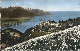 12340027 Caux VD Palace Hotel Lac Leman Alpes De Savoie Caux - Sonstige & Ohne Zuordnung