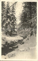 12338037 Flumserberge Waldwinter Flumserberg Bergheim - Sonstige & Ohne Zuordnung