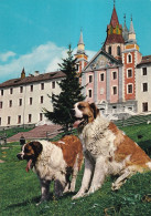 Santuario Madonna Di Pietralba Bolzano  - Autres & Non Classés