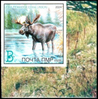 Transnistria 2024 "Year Of The Dark Elk" 1v Imperforated Quality:100% - Moldawien (Moldau)