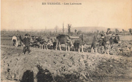 En Vendée * éditeur Robin Fontenay Le Comte * Les Labours * Thème Labour Agricole Agriculture Attelage Boeufs - Other & Unclassified