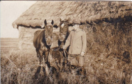 AK Foto Deutscher Soldat Mit Pferden -  1. WK (69420) - Weltkrieg 1914-18