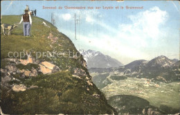 12318177 Leysin Sommet Du Chamossaire Grammont Ziegen Alpenpanorama Leysin - Andere & Zonder Classificatie