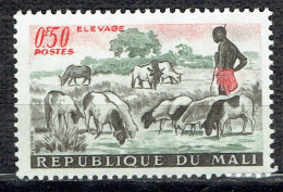 Elevage : Troupeau De Moutons - Mali (1959-...)
