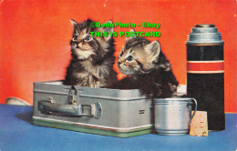 R413295 Two Kittens Are Sitting In A Box. Next To The Thermos. J. Salmon. 1960 - World